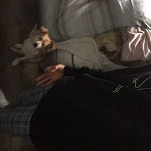 Meet your Posher, Grantie